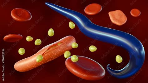  Plasmodium - Den mystiska parasiten som invaderar röda blodkroppar och gör oss sjuka!